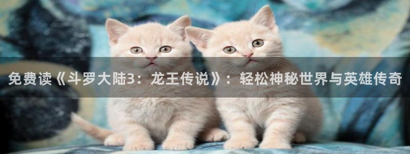 51漫画官网入口：免费读《斗罗大陆3：龙王传说》：轻松神秘世界与英雄传奇