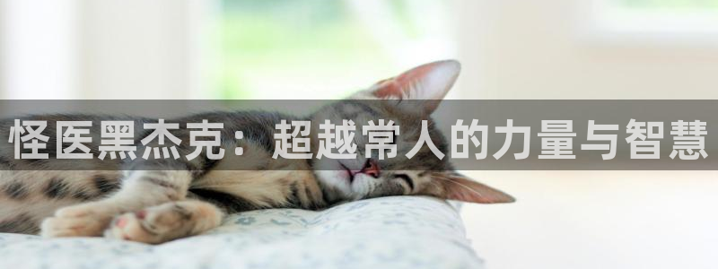 51漫画看不了：怪医黑杰克：超越常人的力量与智慧