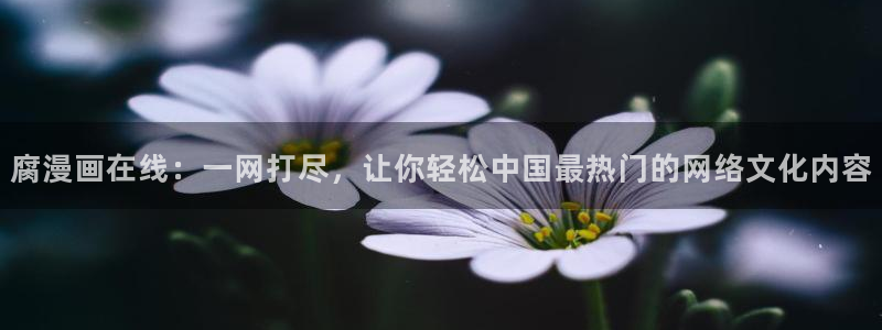 51漫画在线看观看：腐漫画在线：一网打尽，让你轻松中国最热门的网络文化内容
