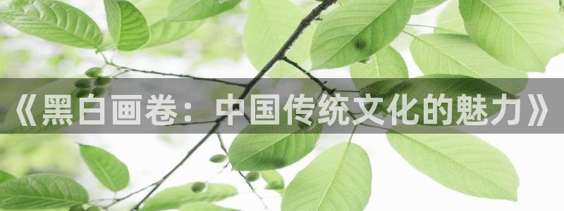 51漫画免费版网站nba：《黑白画卷：中国传统文化的魅力》