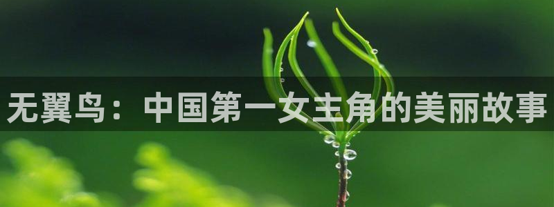 51漫画免费视频：无翼鸟：中国第一女主角的美丽故事